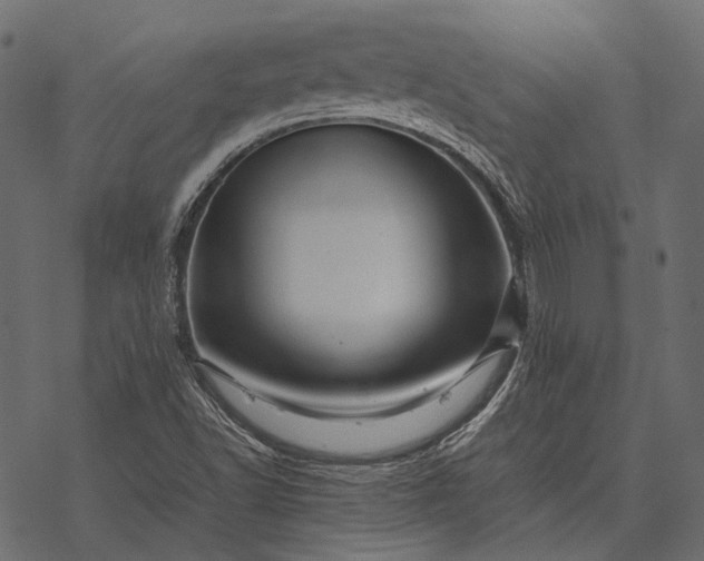 X0000077341502200611031742