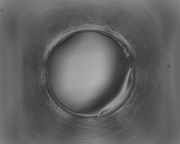 X0000077341504200611031742