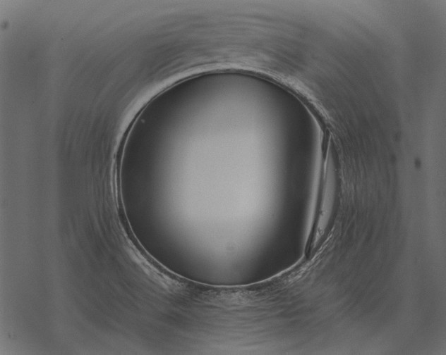 X0000077341516200611031743