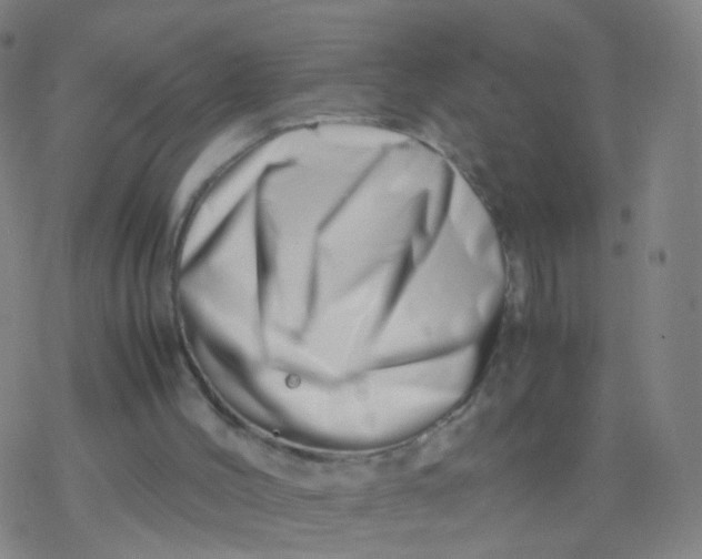 X0000077340004200611101600