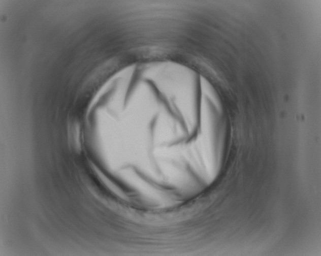 X0000077340022200611101600