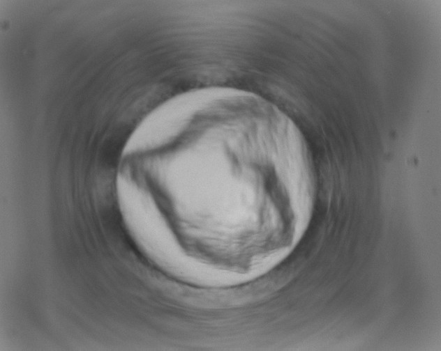 X0000077340034200611101600