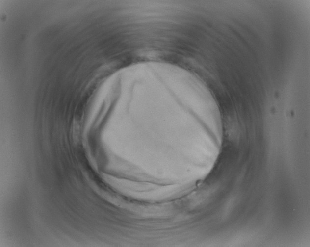 X0000077340036200611101600