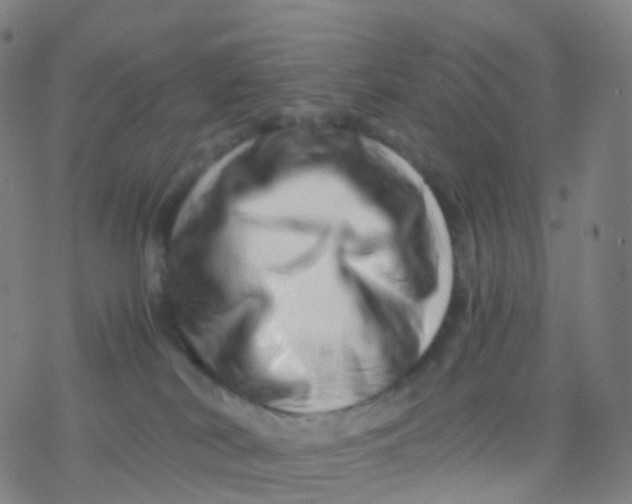 X0000077340038200611101600