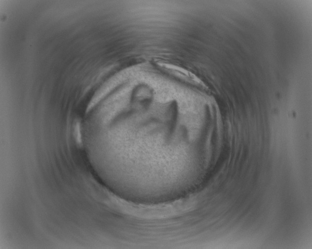 X0000077340042200611101600