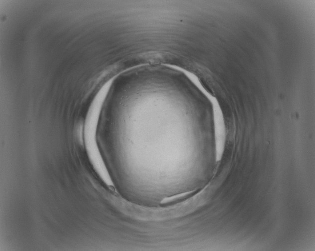 X0000077340047200611101600