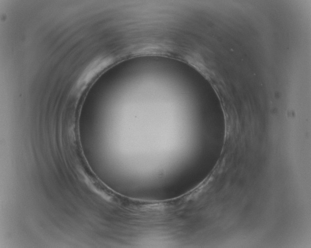 X0000077340050200611101559