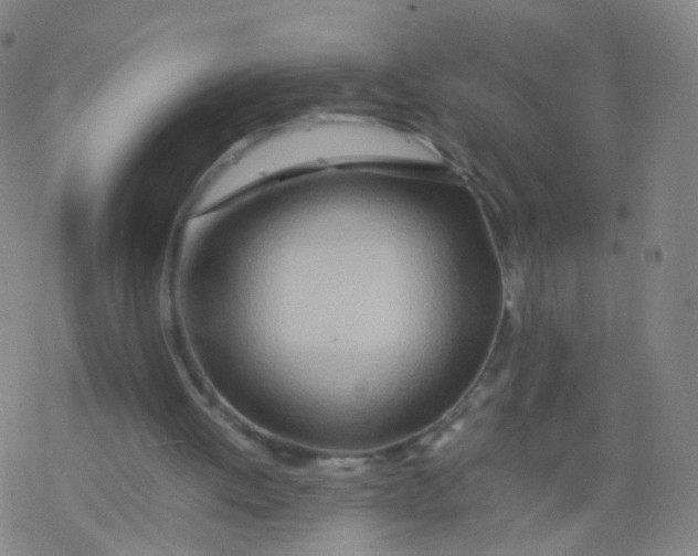 X0000077340052200611101559