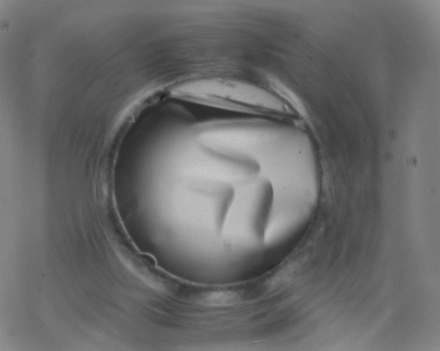 X0000077340059200611101559