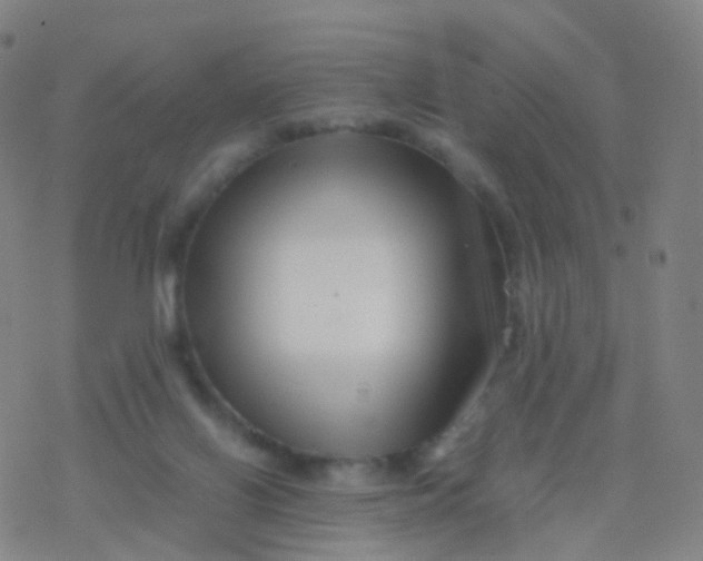 X0000077340070200611101559