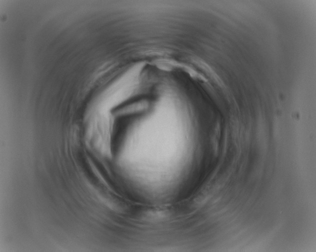 X0000077340071200611101559