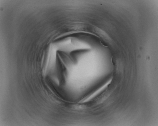 X0000077340073200611101559