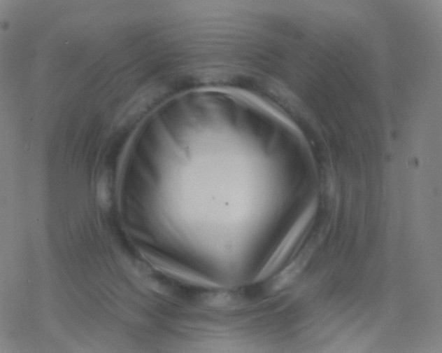 X0000077340074200611101559