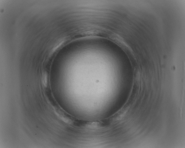X0000077340076200611101559