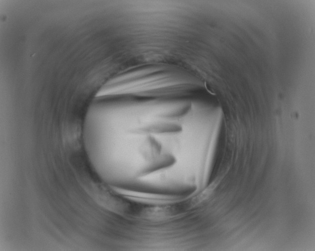 X0000077340082200611101559