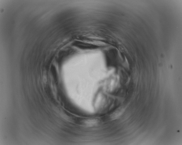X0000077340085200611101559