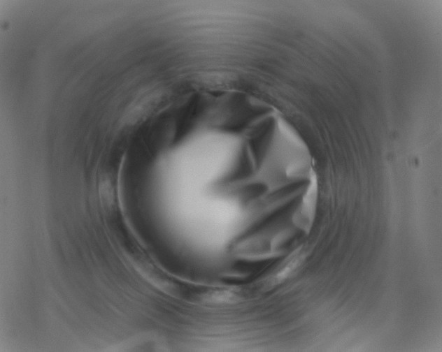 X0000077340086200611101559