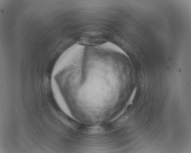 X0000077340087200611101559