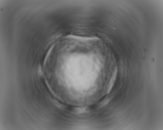 X0000077340089200611101559