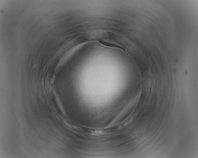 X0000077340091200611101559