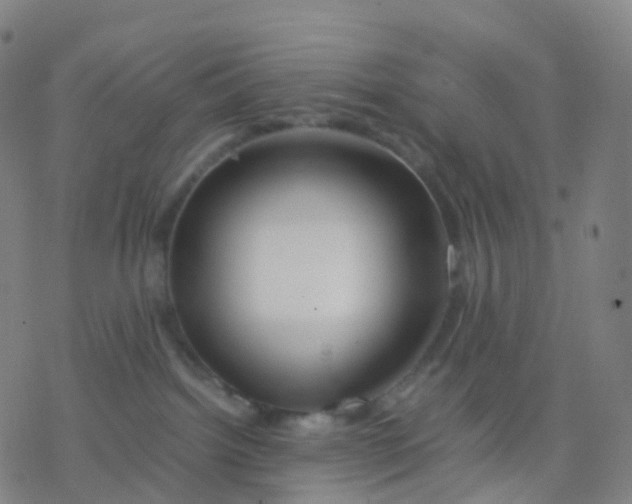 X0000077340092200611101559