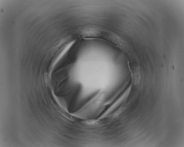 X0000077340093200611101600