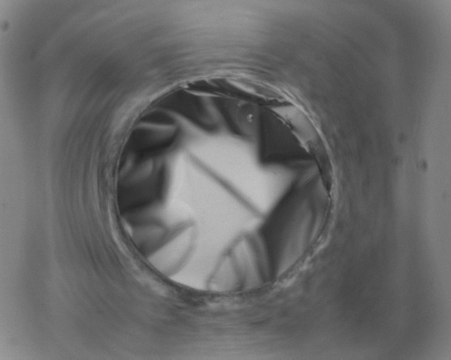 X0000077340097200611101559