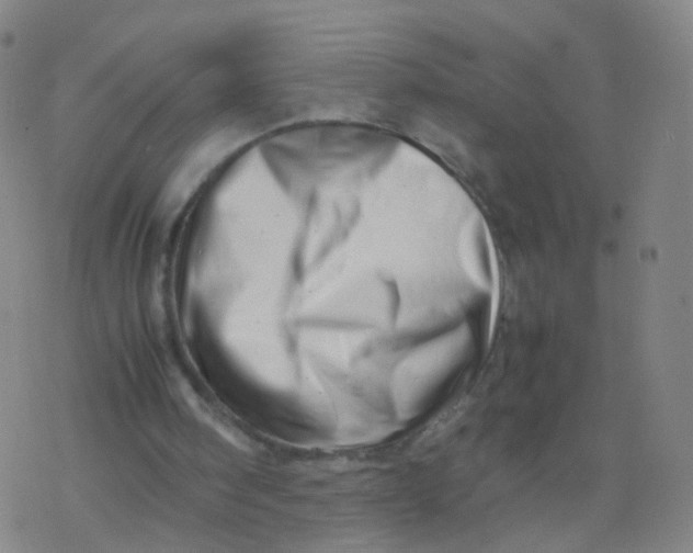 X0000077340098200611101559