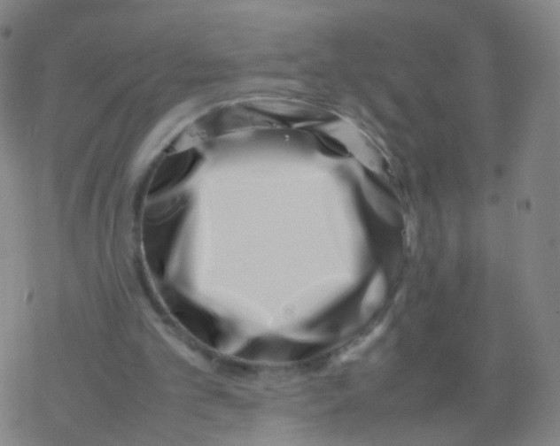X0000077340101200611101559