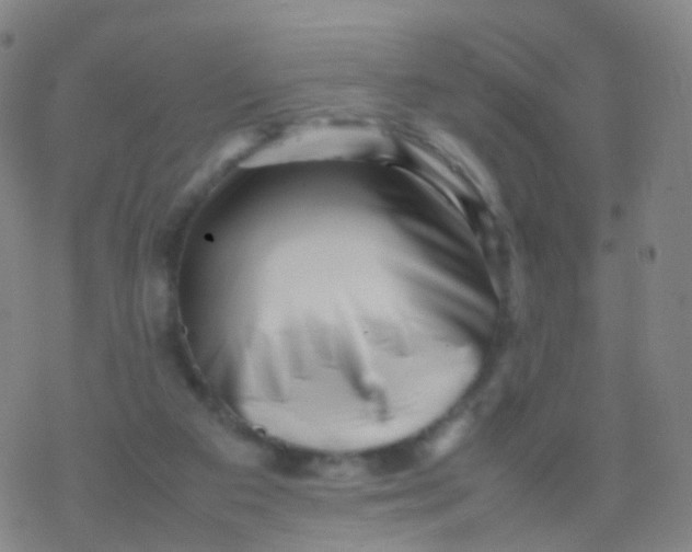 X0000077340113200611101559