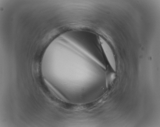 X0000077340115200611101558