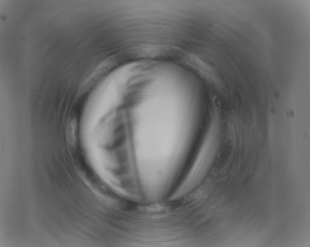 X0000077340118200611101558