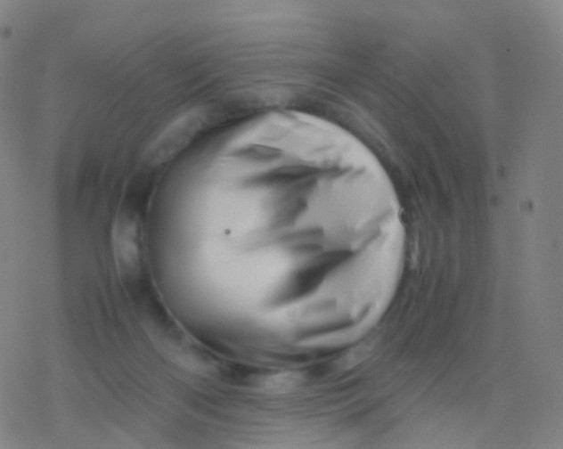 X0000077340122200611101558