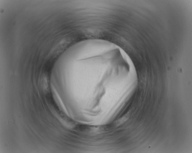 X0000077340130200611101558