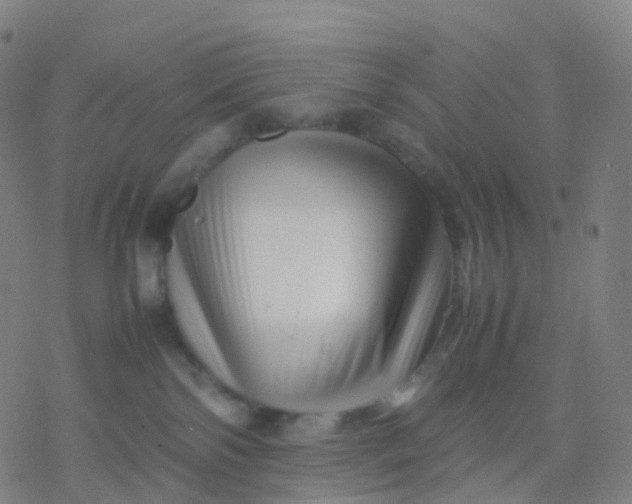 X0000077340138200611101558