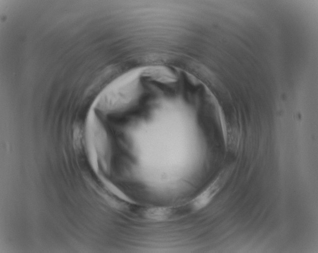 X0000077340142200611101558