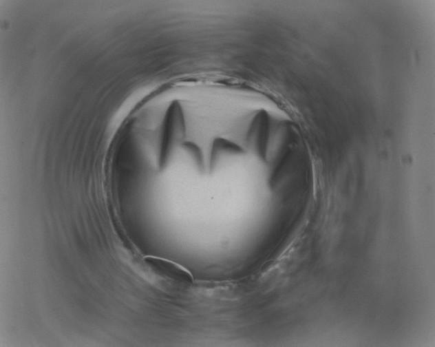X0000077340147200611101557