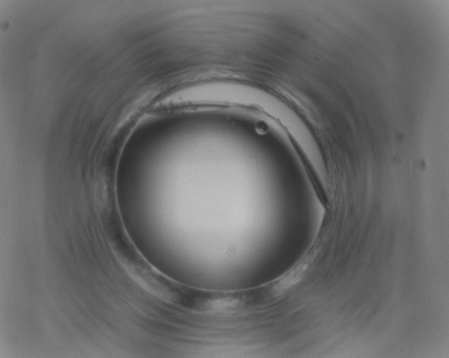 X0000077340158200611101557