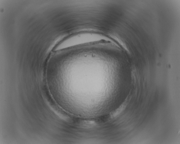 X0000077340159200611101557