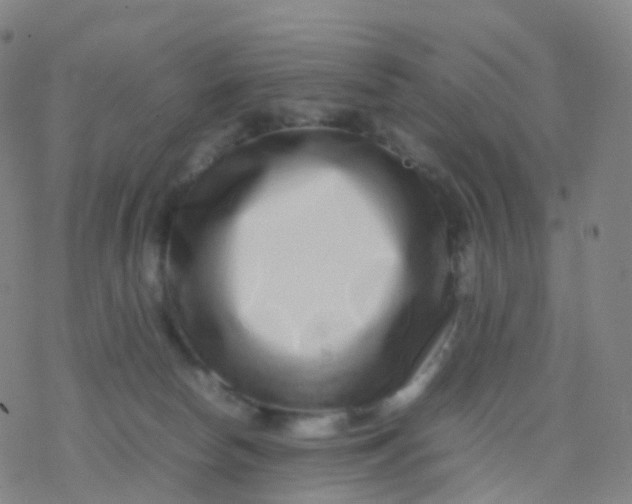 X0000077340178200611101558