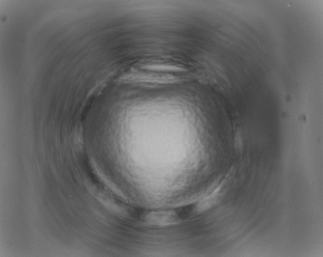 X0000077340179200611101558