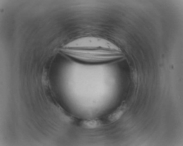 X0000077340181200611101558
