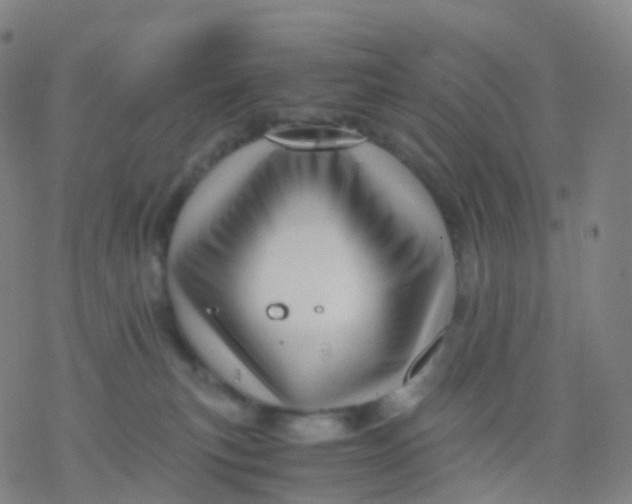 X0000077340183200611101558