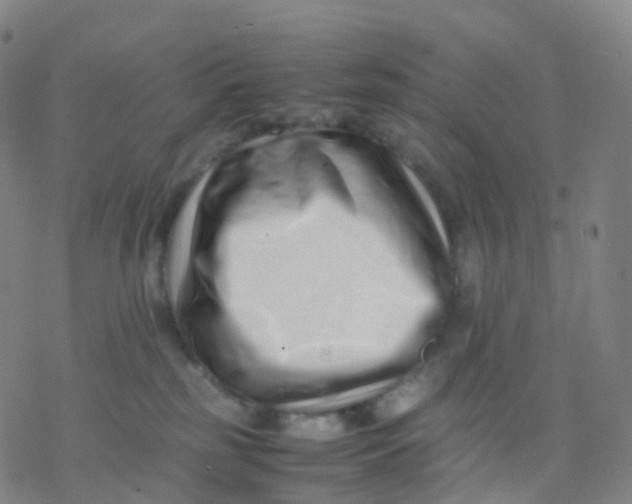 X0000077340185200611101558