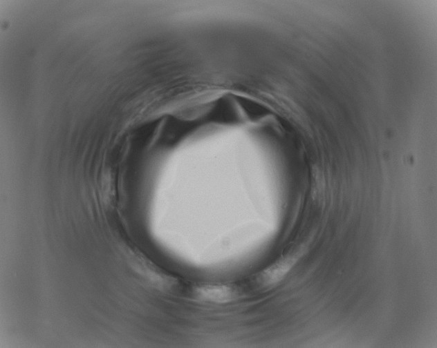 X0000077340189200611101558
