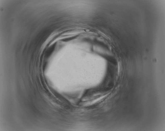 X0000077340195200611101557