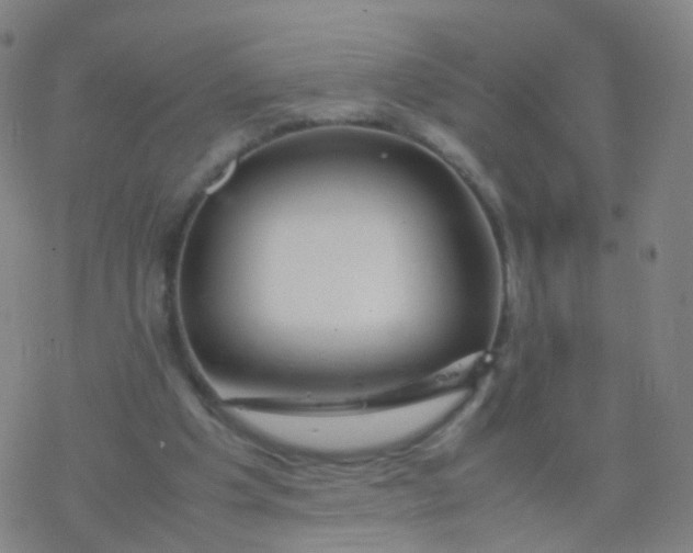 X0000077340201200611101557