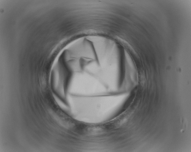 X0000077340208200611101557