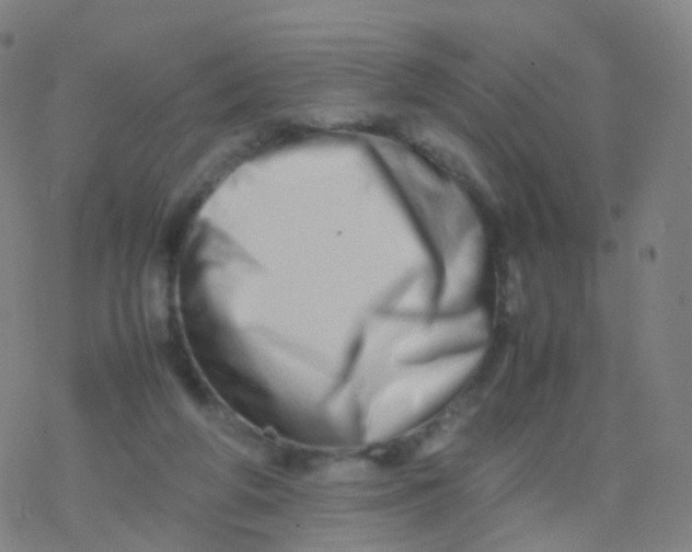 X0000077340210200611101557