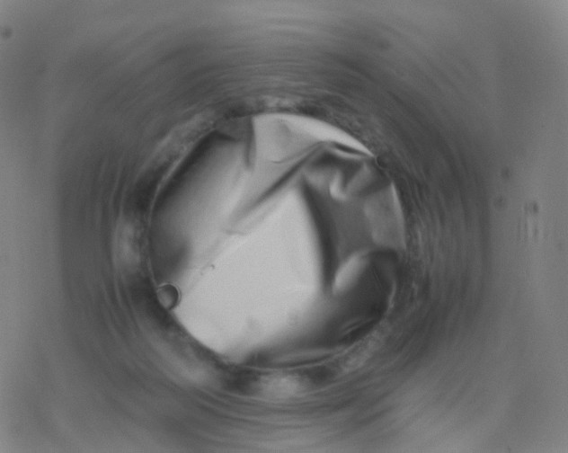 X0000077340218200611101557